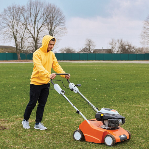 best lawn treatment company in buffalo
