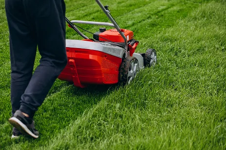 eco friendly lawn care