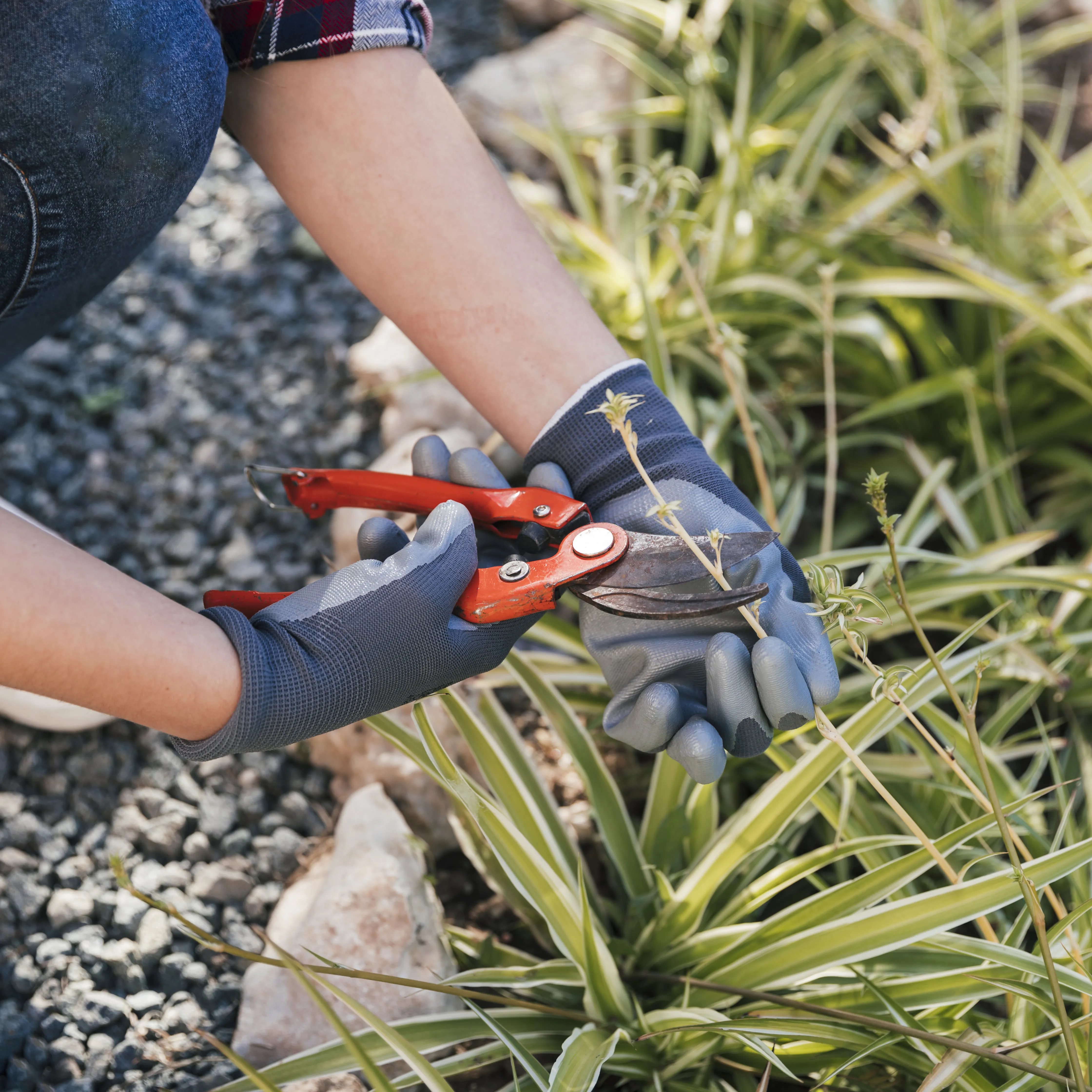 lawn mowing for all property types