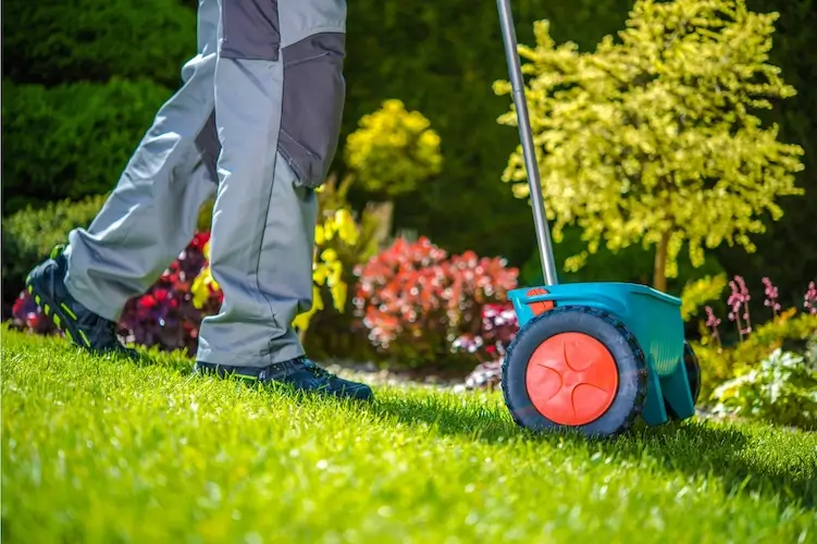 Lawn Seeding buffalo ny