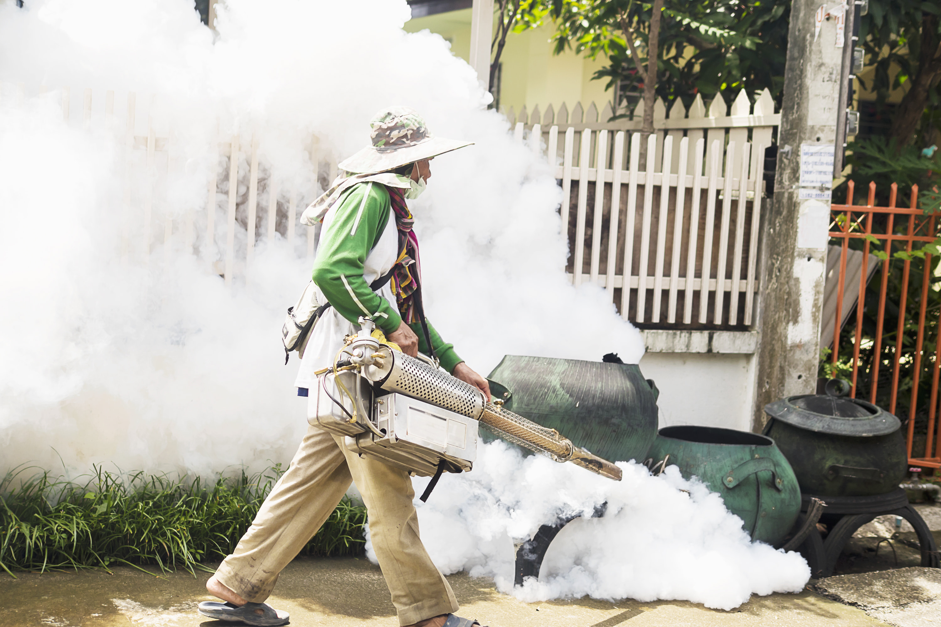 mosquito lawn treatments