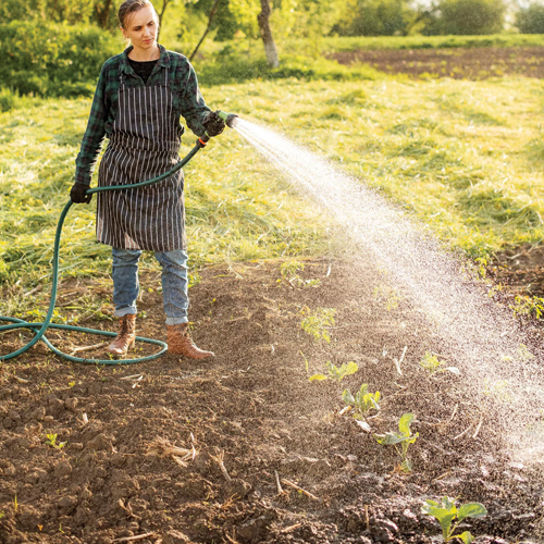 our lawn fertilization services