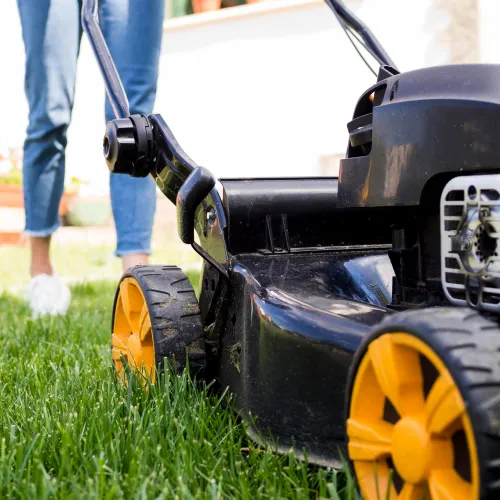 Residential Lawn Mowing Services