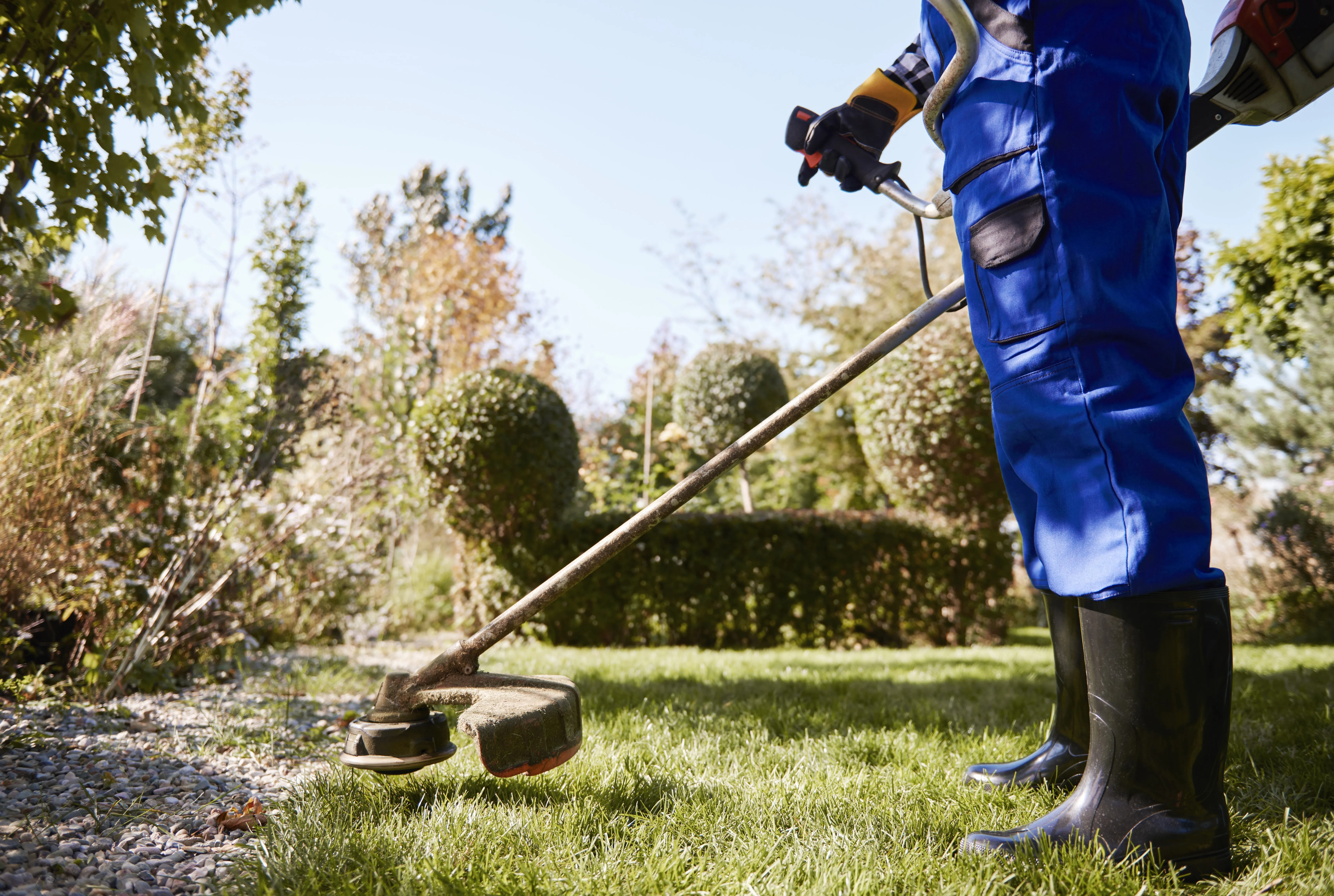 Transform Your Lawn With Ashton Services